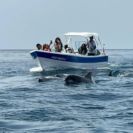 Casa Paulinho Vakantiehuis Portimão